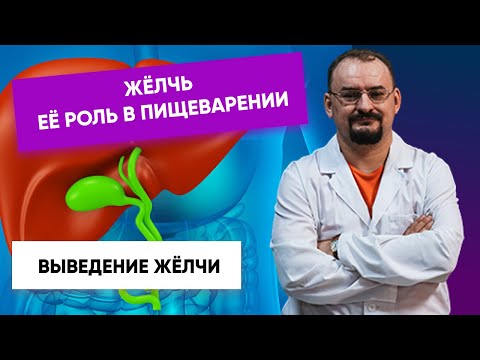 Видео: Жёлчь и её роль в пищеварении. Выведение жёлчи из жёлчного пузыря.