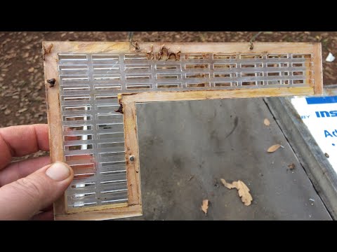 Видео: Изоляторы для пчелиных маток