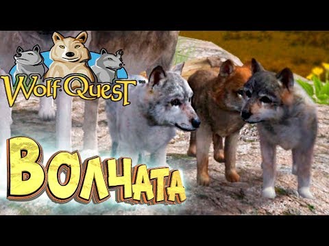 Видео: РАСТИМ ВОЛЧАТ - WolfQuest #3