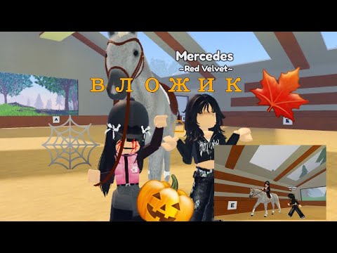 Видео: Осенний влог /тренировка на голландской теплокровной //рп/вхи/whi/