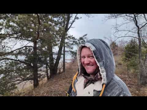 Видео: Гуляем с Максом возле Ангары 28 октября 2025 год