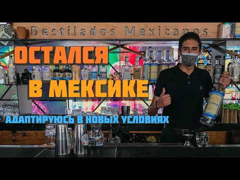 Видео: Остался в Мексике | Адаптируюсь в новых условиях | Работа в баре