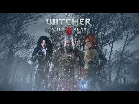 Видео: Играем в Ведьмак 3 Дикая Охота! Witcher 3 wild hunt! Прохождение #12