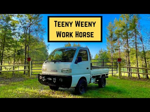 Видео: Покупка мини-грузовика для сельской жизни