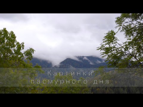 Видео: Картинки пасмурного дня