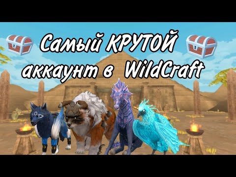 Видео: ~| ПОЛНЫЙ ОБЗОР МОЕГО АККАУНТА WildCraft / ТРАТИМ ВСЕ КРИСТАЛЫ |~