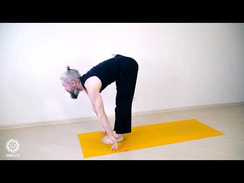 Видео: СУРЬЯ НАМАСКАР | Приветствие Солнцу. Утренний комплекс упражнений йоги. Александр Терентьев