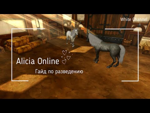 Видео: Alicia Online Breeding Guide~Гайд по Разведению