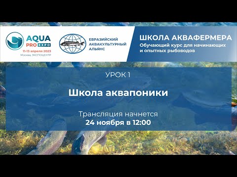 Видео: Урок 1. Школа Аквапоники