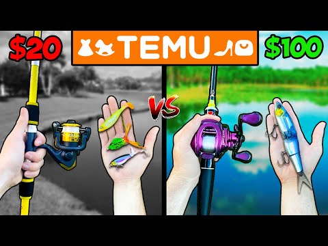 Видео: Бюджетный рыболовный челлендж «Тему 20 против 100 долларов»