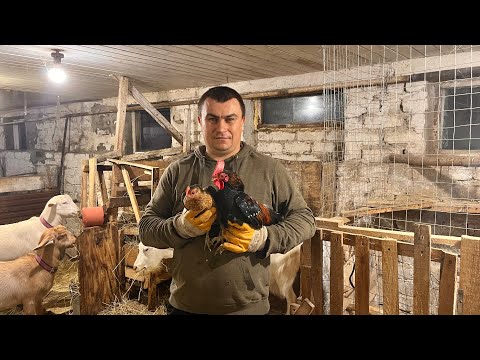 Видео: Такой день тоже нужен. Как прошла адаптация???