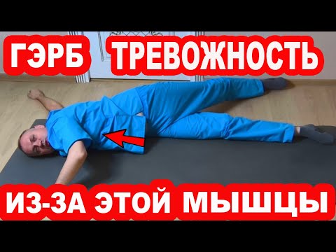 Видео: Эта мышца вызывает ГЭРБ и повышенную ТРЕВОЖНОСТЬ. Как вылечить Рефлюкс, Эзофагит, Изжогу, ГАСТРИТ