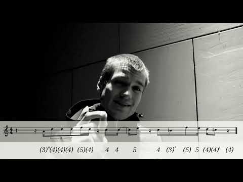 Видео: Buena Vista Social Club - Chan Chan на гармошці