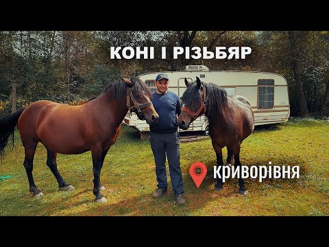 Видео: РІЗЬБЯР У МУЗИКАНТА В КРИВОРІВНІ.  #horse #коні #гуцули