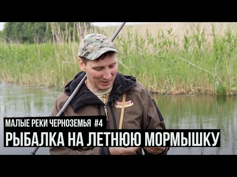 Видео: Рыбалка на летнюю мормышку / Малые реки Черноземья. Сезон 4. Выпуск 4