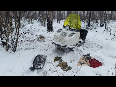 Видео: охота на соболя сезон 24/25 серия 7