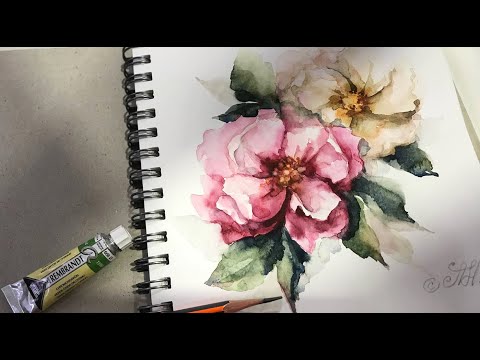 Видео: Цветы шиповника. Акварельный этюд /Белые ночи, бумага 300 г