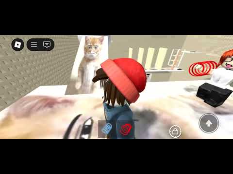 Видео: 6 ноября 2025 г.