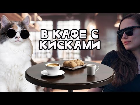 Видео: Кошачья общага//Впервые в котокафе