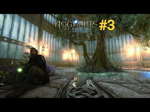 Видео: Хогвартс наследие #3