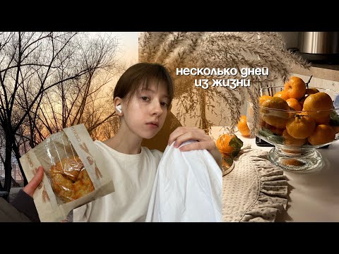 Видео: несколько дней из жизни: мои учебные будни, подготовка к ЕГЭ, тихий влог