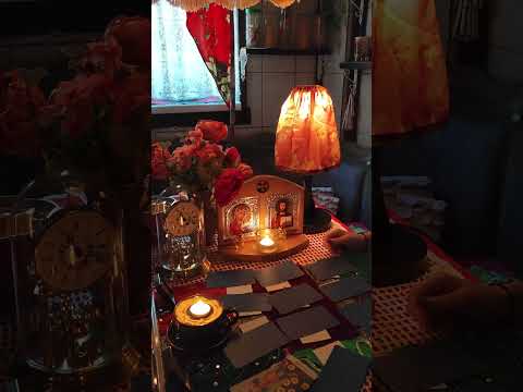 Видео: Ноябрь Все Знаки Зодиака 