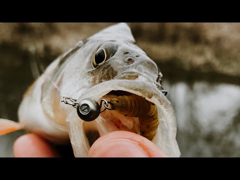 Видео: ОЗВІРІЛІ ПОКЛЬОВКИ ГОРБАЧІВ та ЩУК на малій річці! Рибалка на ультралайт в ДИКИХ МІСЦЯХ!