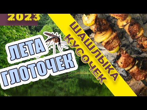 Видео: ЛЕТА ГЛОТОЧЕК ☀️😊, ШАШЛЫКА КУСОЧЕК 🍖🍖😋