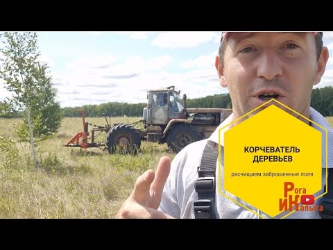 Видео: Огромные затраты на расчистку полей, трактор Т-150к выдергивает деревья, МТЗ-82 убирает с поля