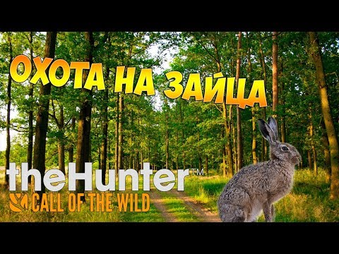 Видео: theHunter Call of the Wild #23 - Охота на зайца