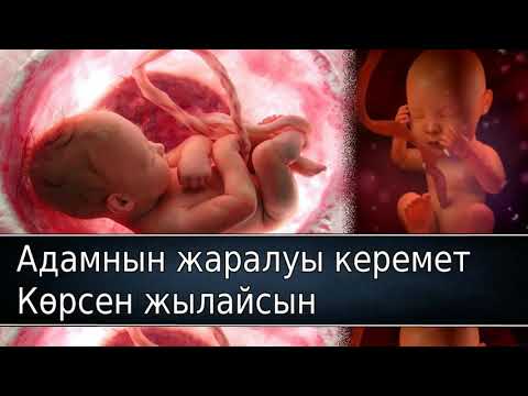 Видео: Ерлан Акатаев уагыз 2018