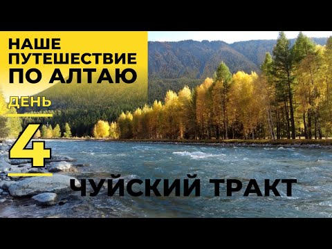 Видео: Наше путешествие по Алтаю. День 4. Чуйский тракт!