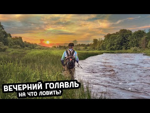 Видео: ГОЛАВЛЬ В ИЮНЕ НА СПИННИНГ 🏞️ ЛОВИМ НА СЕКРЕТНЫХ ПЕРЕКАТАХ