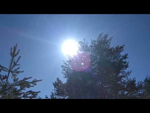 Видео: с.  Добралък  05. 02.2022 г.