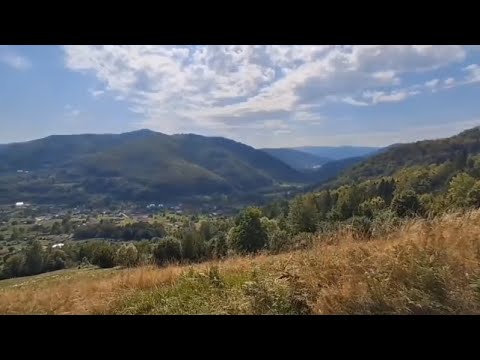Видео: Шешори 2025 l PREVIEW l