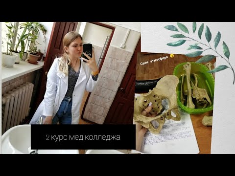 Видео: какие предметы на 2 курсе медицинского колледжа? | будет ли практика?