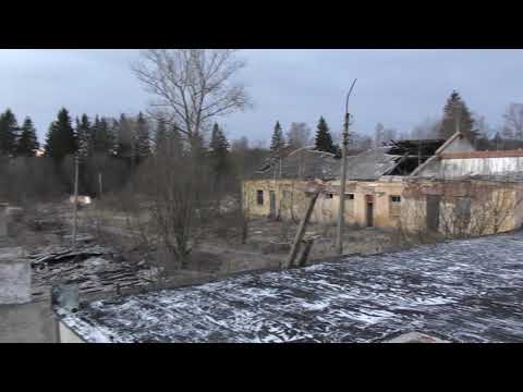 Видео: 10 черепов Life Адуляр (день 1)