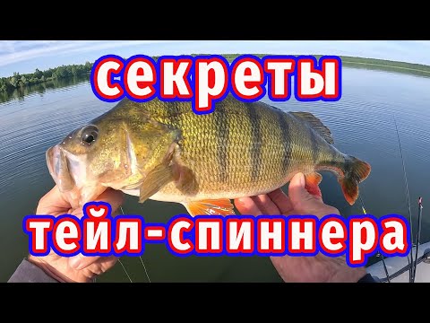 Видео: Секреты тейл спиннера!  Всё что нужно знать чтобы успешно ловить!