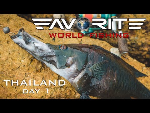 Видео: Favorite World Fishing. Thailand. Day 1/Мировая рыбалка с Фаворит. Тайланд. День 1