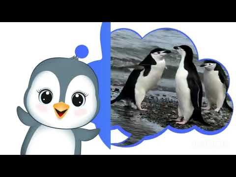 Видео: Звукова культура мовлення 