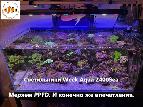 Видео: Светильник для морского аквариума  Week Aqua Z400 Sea