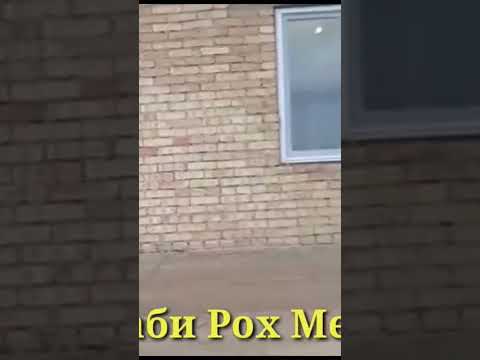 Видео: Хонаи Арзон