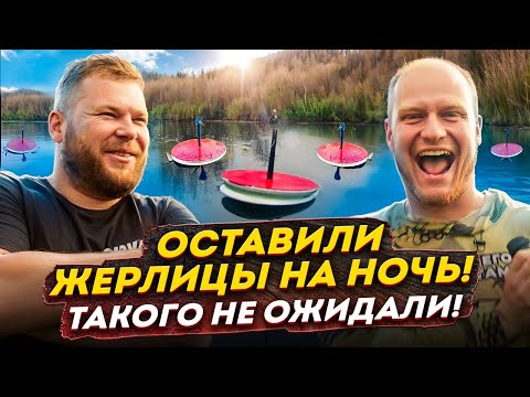 Видео: ОСТАВИЛИ ЖЕРЛИЦЫ НА НОЧЬ! ТАКОГО НЕ ОЖИДАЛИ!