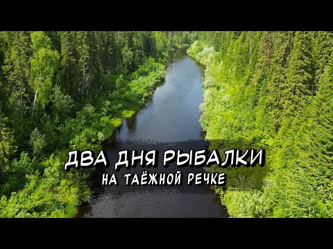 Видео: ВЫХОДНЫЕ В ТАЙГЕ \ ДВА ДНЯ ХОДОВОЙ РЫБАЛКИ НА ХАРИУСА.