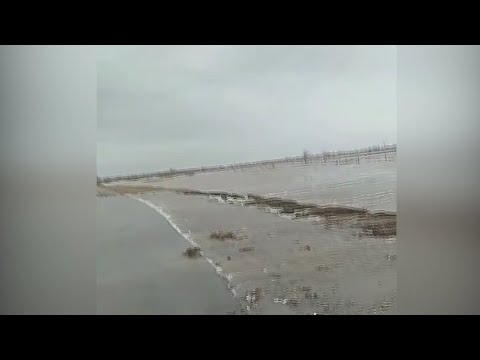 Видео: БҚО-да 8 жолды су шайып, төрт ауылмен байланыс үзілді