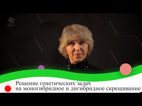 Видео: Решение генетических задач на моногибридное и дигибридное скрещивание. 9 класс.