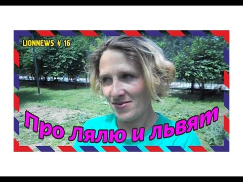 Видео: Львиная Новость №16 Про Лялю и львят