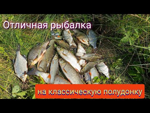 Видео: Отличная рыбалка на классическую полудонку в начале июля!