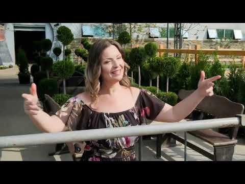 Видео: Вили Русева - Песен за Тунджа