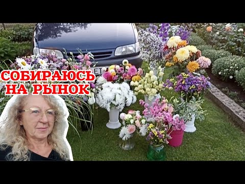 Видео: 🌸 Осенние букеты от модной дачницы | Приглашаю на рынок в Барановичах